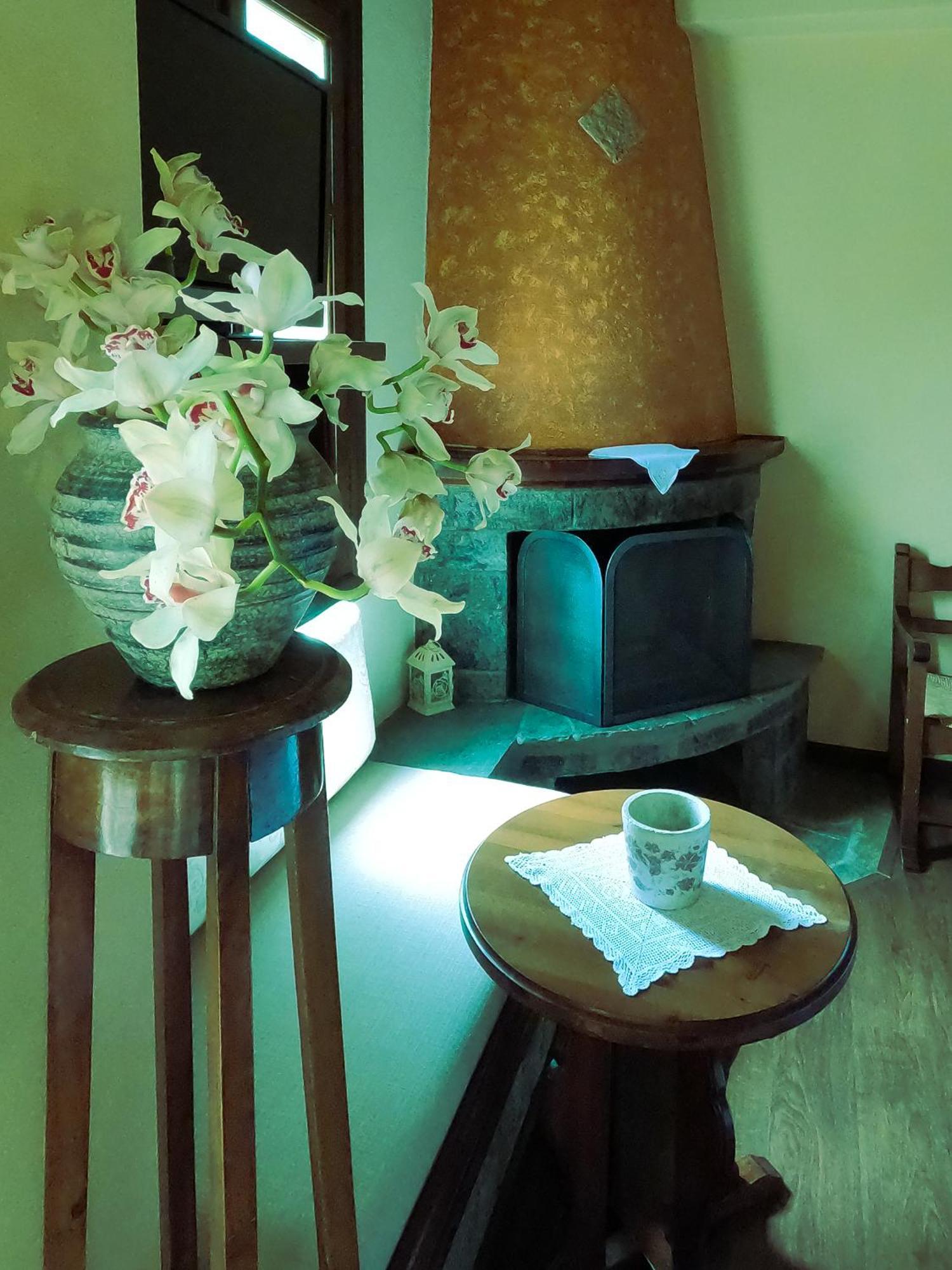 Amalthia Traditional Guesthouse Tsagkarada Zimmer foto